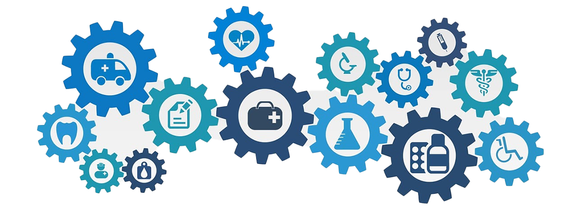 Gesundheit - Metabolic Typing